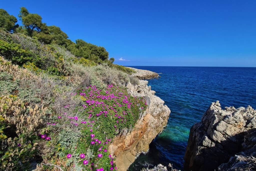 Casalionelantibes 70 Sqm Apartment With Garden And Parking エクステリア 写真