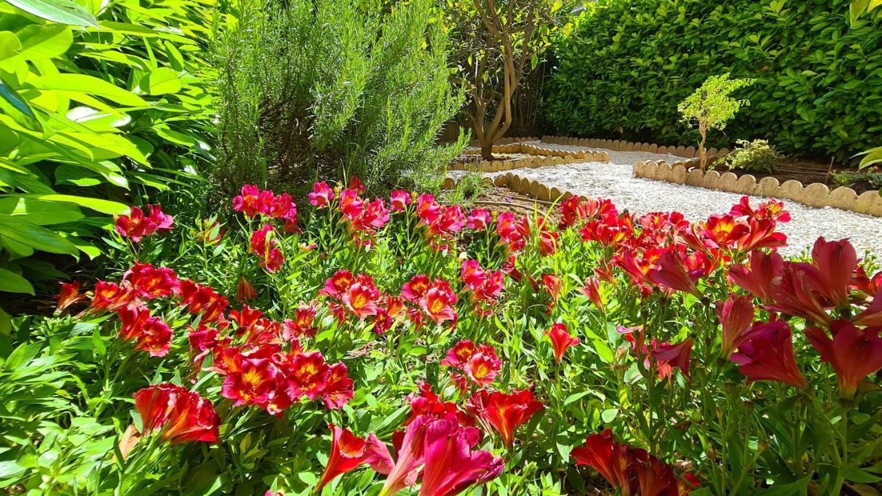 Casalionelantibes 70 Sqm Apartment With Garden And Parking エクステリア 写真