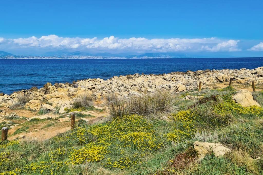 Casalionelantibes 70 Sqm Apartment With Garden And Parking エクステリア 写真